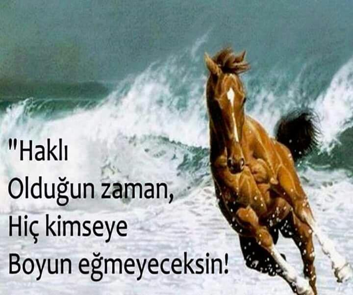 casa982's tweet photo. Gereken ne ise haklı tarafından yapacaksın. . http://t.co/5t3aayP3Rg