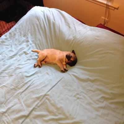 cleytu's tweet photo. enquanto ta todo mundo saindo eu to tipo http://t.co/fZv1yRLWji