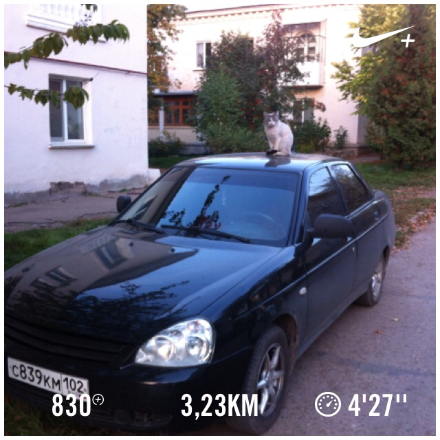 RadikMiniarov's tweet photo. I just ran 3,23 km @ a 4'27''/km pace with Nike+. http://t.co/gf1MRhh9tK #nikeplus http://t.co/uTuOD7J3qm