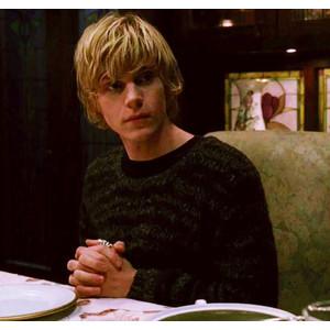 Sweet Buscador tweet media