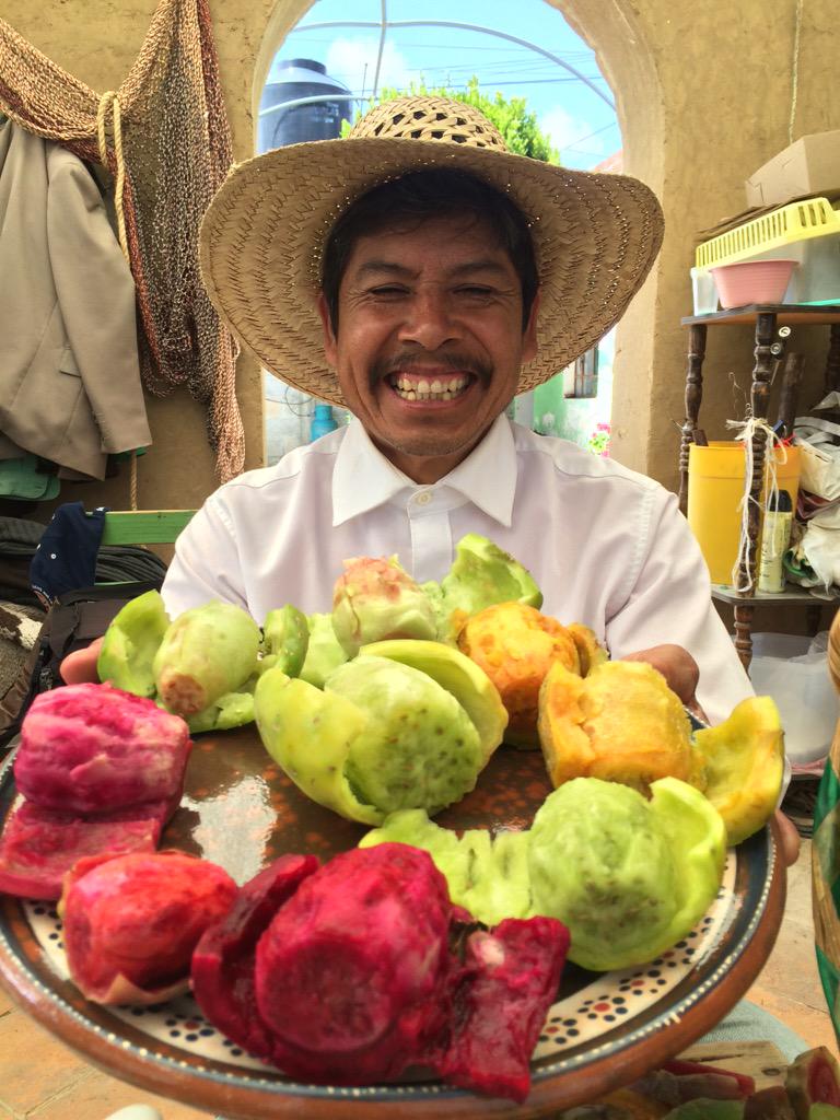 Irad_Santacruz's tweet photo. Las tunas de colores en #Tlaxcala no se les antoja??? @SlowFoodTlax http://t.co/FOLYmGQi1n