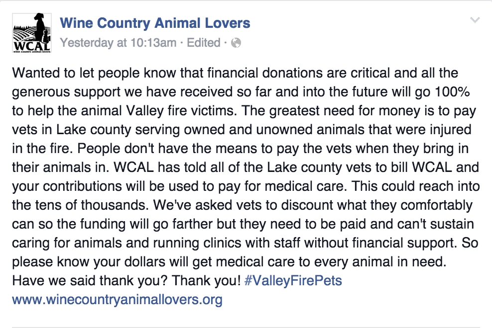 taggtracker's tweet image. WCAL opened a fund cover medical care for pets affected by the #LakeCountyFires. To donate: ow.ly/SoR5R