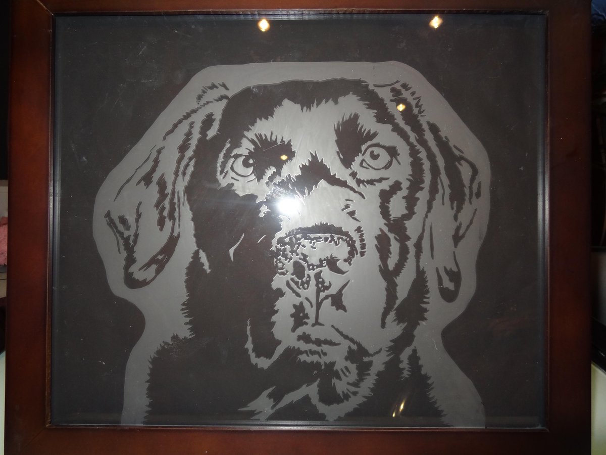 Lauraspaintings's tweet photo. Thought I'd have a go at glass engraving #glassportrait http://t.co/svcUkJTHfH