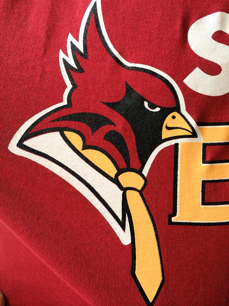 Cam_Audette's tweet photo. Couldn't find the mascot but found this cardinal dressed for success #COMM267 #FisherCOMM http://t.co/KOfHJ9VR8Q