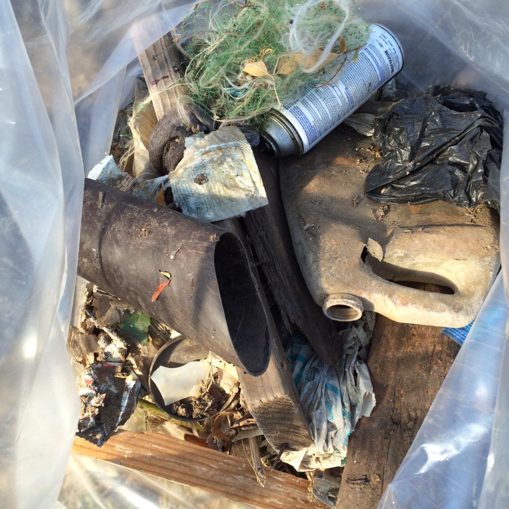 KrisMYas's tweet photo. From one person in one hour. Let's do this! #cleancreeksscc @valleywater #SanJose http://t.co/LlhQLX3rPm