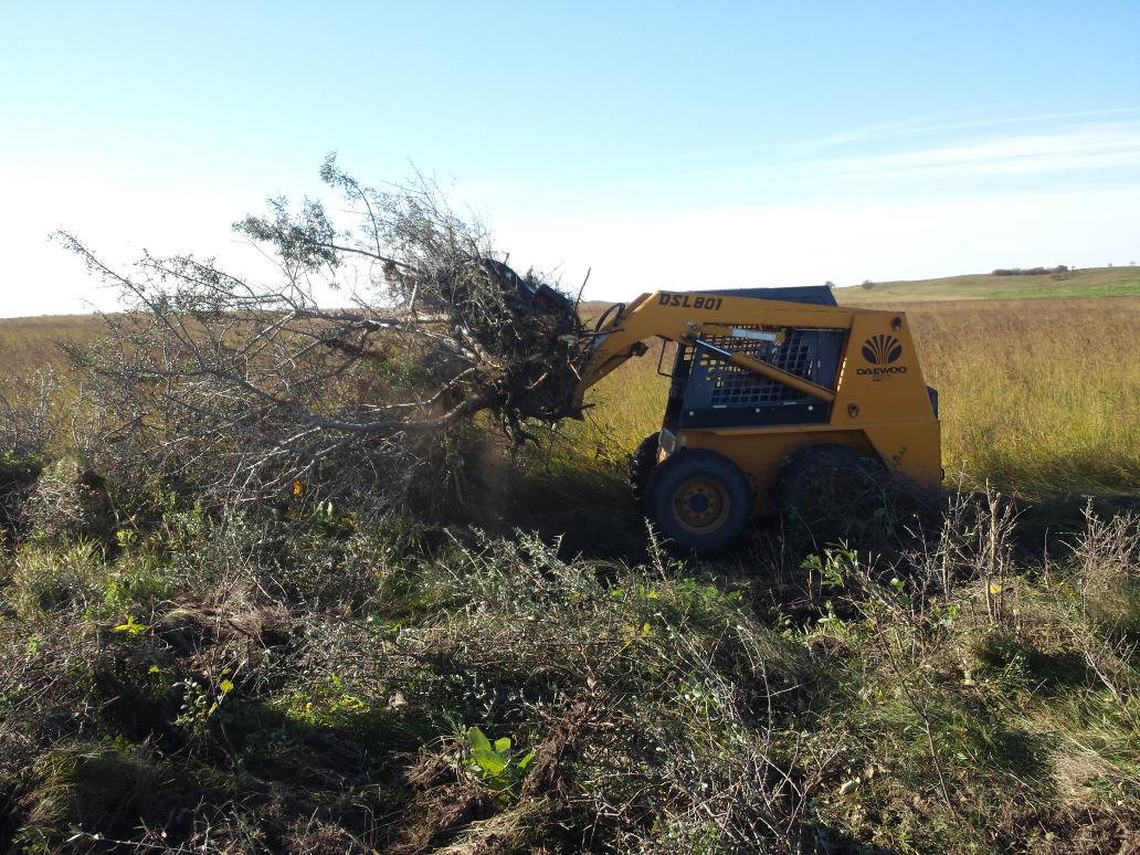 ddooley33's tweet photo. Clearing trees in the audobon #volunteer for hunting this #deerseason http://t.co/vOgkEqCBM4