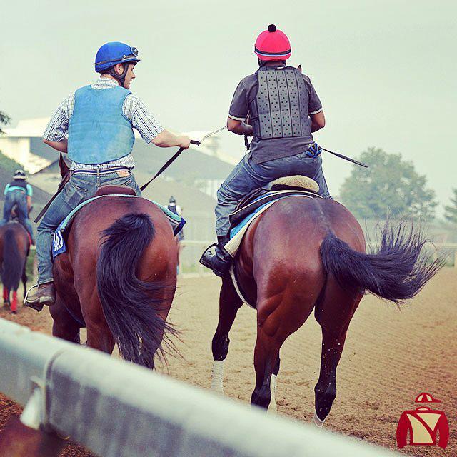 Centennial_Farm's tweet photo. #WickedStrong was feeling #wickedgood when he hit the track this morning! Head on over to β¦ http://t.co/4RZUbnTO8q http://t.co/N14DiKZT45