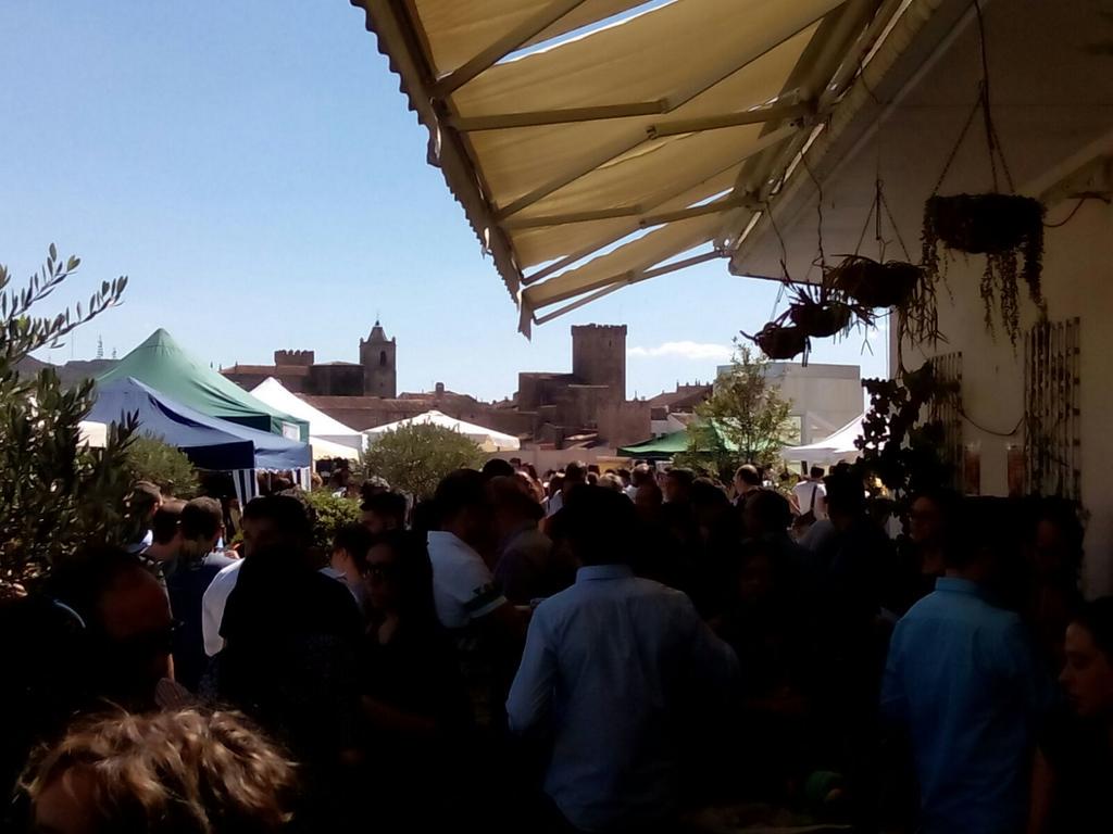 CaceresMegusta's tweet photo. http://t.co/q8AkuOjQGz