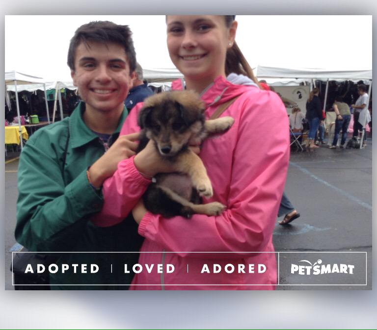 PetSmartUtica's tweet photo. 516 lives saved so far @Banfield We love pets! @GreggScanlon @PetSmartChariTs http://t.co/xf1KhW9RFx" #adoptlove