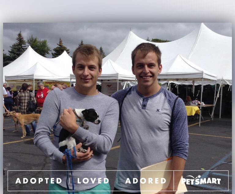PetSmartUtica's tweet photo. 516 lives saved so far @Banfield We love pets! @GreggScanlon @PetSmartChariTs http://t.co/xf1KhW9RFx" #adoptlove