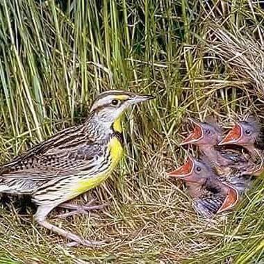 Salim khan 018 (@018salim) on Twitter photo 