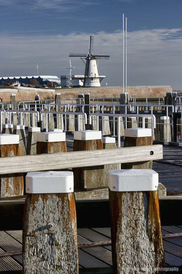 Building Holland tweet media