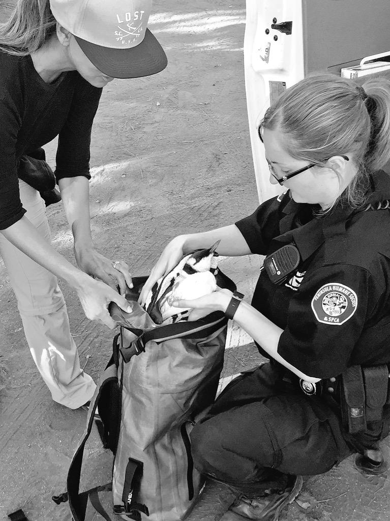 Coastal Ops tweet media