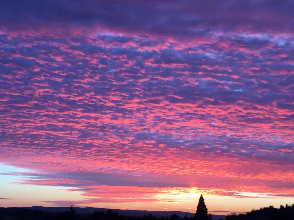 Ups &amp;downs are the stuff that color a gorgeous life. Cloudless skies can't create this