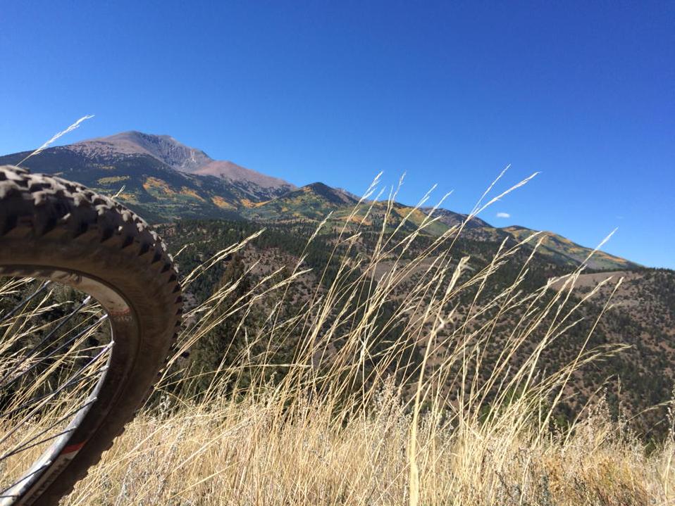 lancebenzel's tweet photo. What a day for a breather on #monarchcrest. The #aspen are coming along nicely. #MTB @outthereco http://t.co/KO8aQLQnns