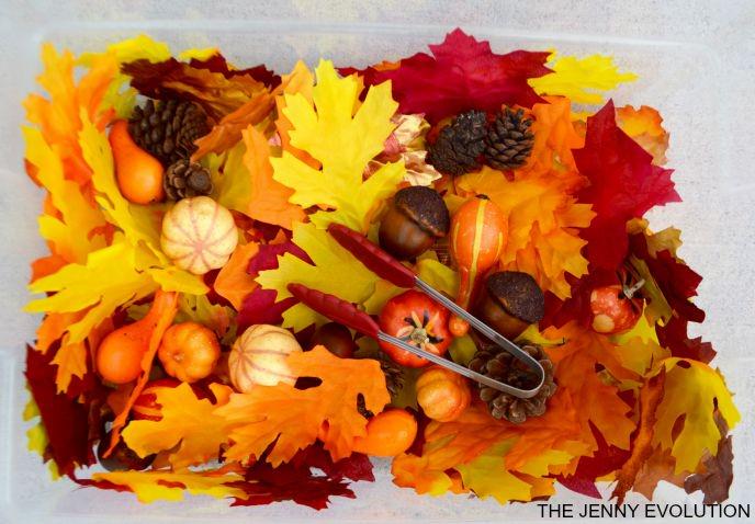 SensorySpec's tweet photo. Fine Motor Fall Sensory Bin http://t.co/9AUNeEz7G6 #finemotor #kbnmoms #preschool #sensorybin #sensory http://t.co/7PUp9Fl2kC