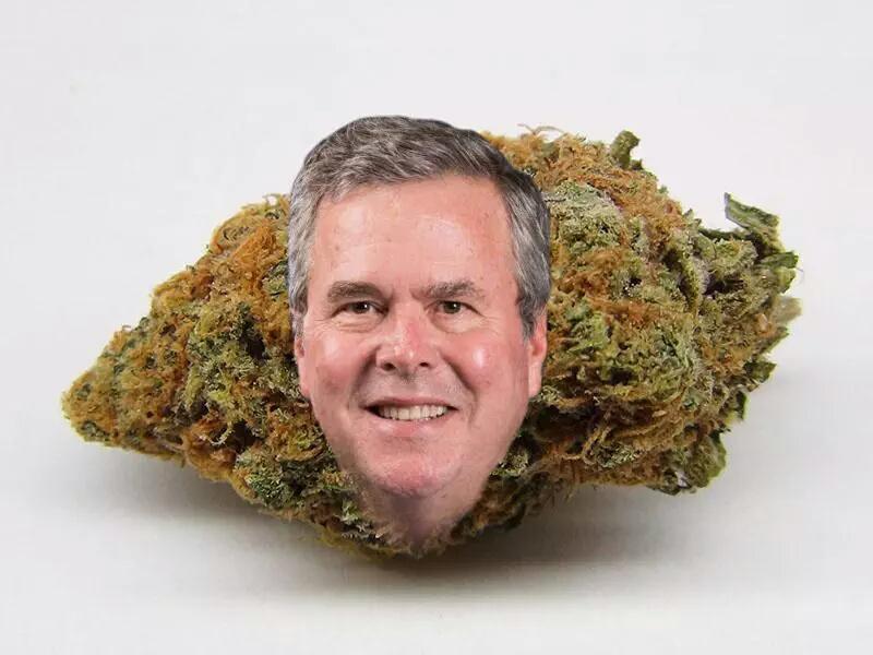 ManUpUAll's tweet photo. Jesse Ventura: Jeb sent me Cuban cigars. http://t.co/NOXytX3HoH #JebKush all Right then, Kush on JEB, Kush on! http://t.co/YVLEhjHJDE