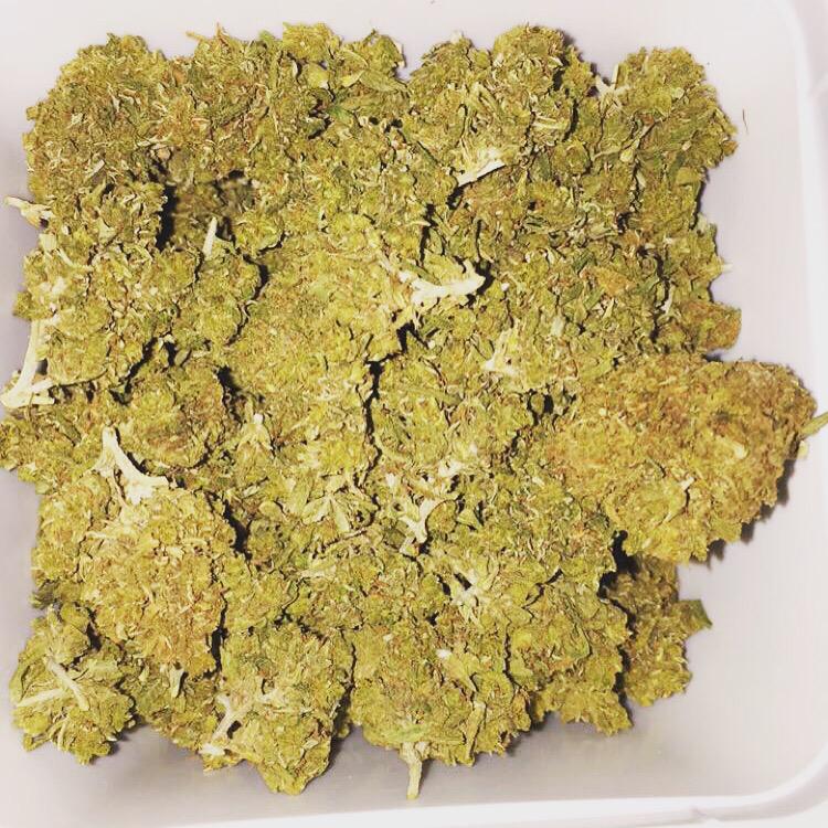 kush_god_58 tweet picture