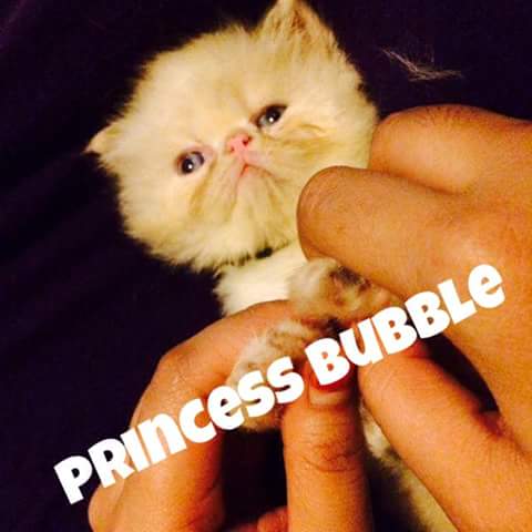 Princess18 (@Tweet1813) | Twitter