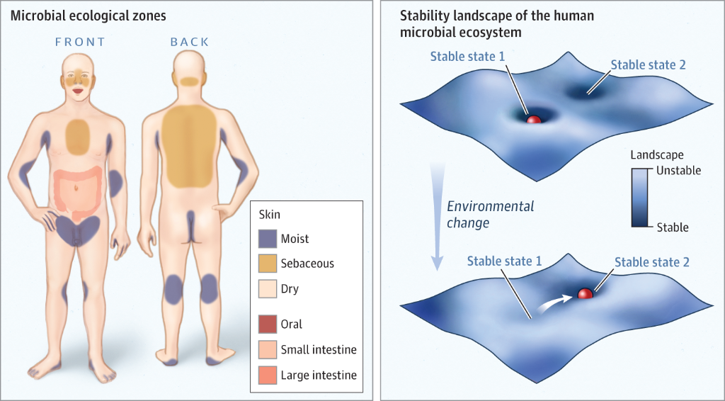 JAMA_current's tweet image. The human #microbiome is a fundamental component of what it means to be human.
ja.ma/1KA3OAh