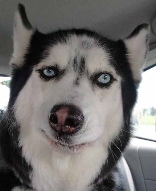 thenicecheez's tweet image. "The caramel blonde..." #writingfail