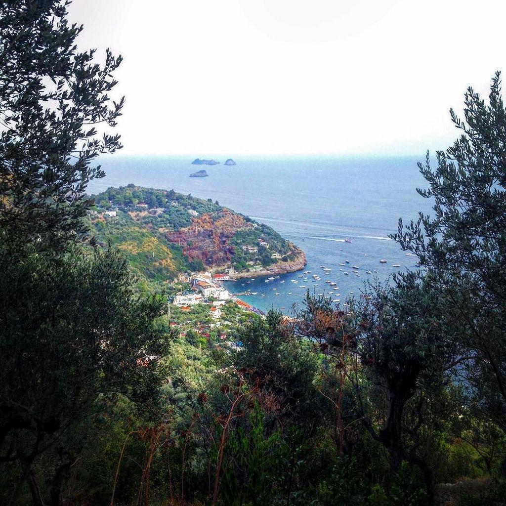 FeelingItaly's tweet image. InstaPic by enzonix1: #volgocampania #hdr_for_all #paesagginapoletani #photooftheday #paesaggi_italiani #naturelove…