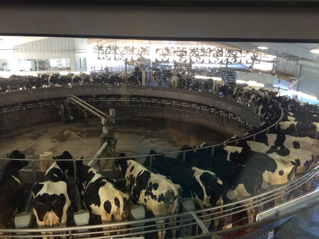 LexRich5FFA's tweet photo. We had a great field trip yesterday on or farm tour, seeing a vet program, row crops, cattle, and a wildlife nursery! http://t.co/DtCasfmkX1