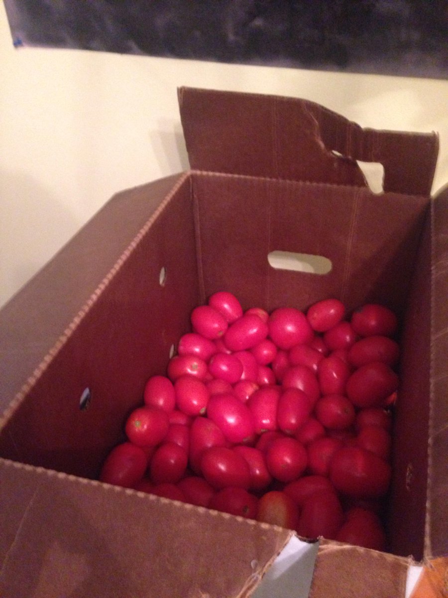 emciel's tweet photo. #canningweekend market haul: 1/2 bushel of tomatoes, hot peppers, wild cranberries, dill, & 10 heads of garlic. http://t.co/NoQ9el7Ugi