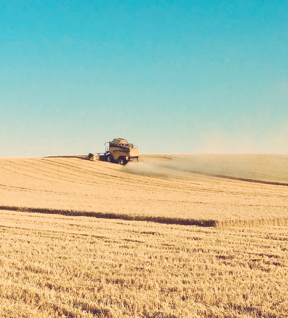 UniqueFarmStays's tweet image. The summer is over...the winter is near... soon we will be hearing the Christmas cheer! ❄️🎄🎶 too soon?