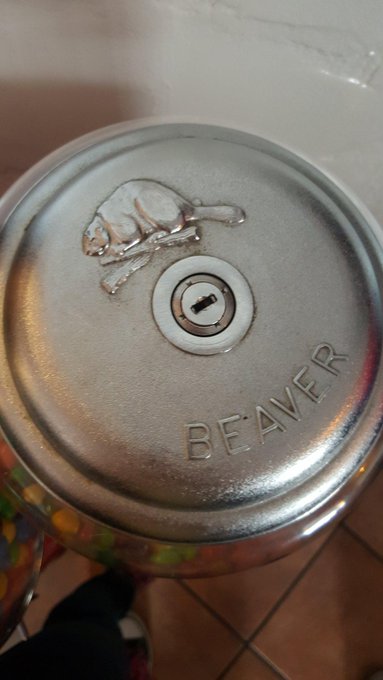 Yess...  yu like my beaver?♡ ^^ http://t.co/XgSfOs8zgN