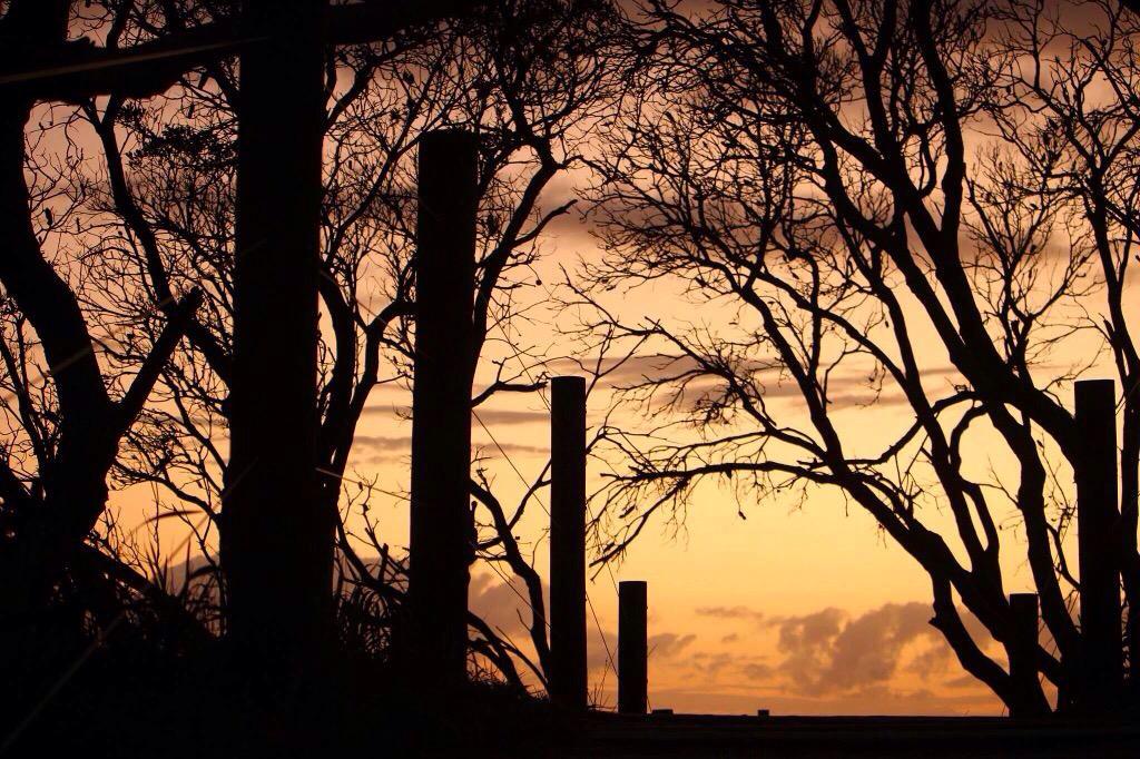 Golden #Maroochydore sunrise. You're welcome. Pic: <a href="/blackiwiroo/">Claire 🇦🇺🇳🇿</a> #VisitSunshineCoast  👏🌅