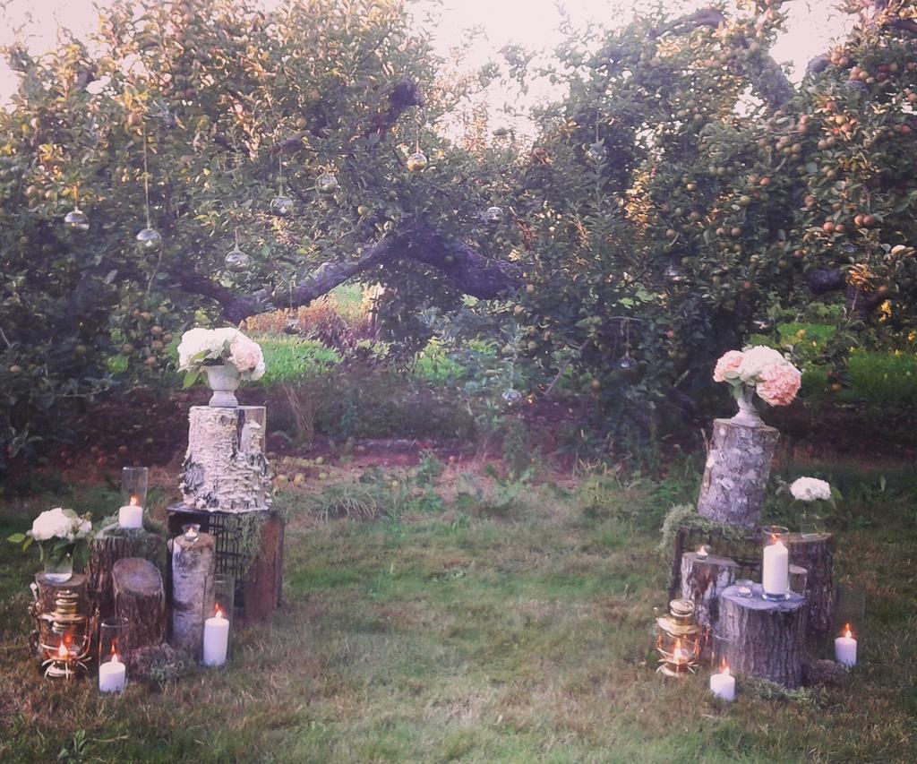 A beautiful apple orchard wedding this evening. #coastalevents #novascotiawedding