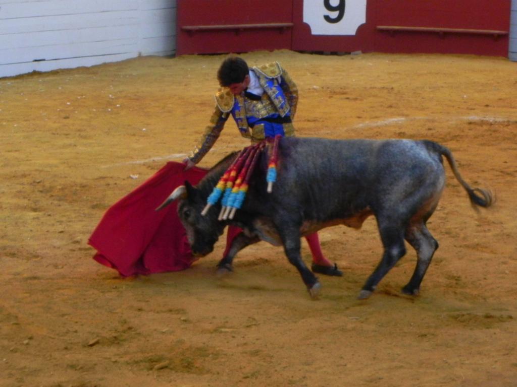 verdeguer's tweet photo. Crónica de la 1era de la #SetmanadeBous #AlgemesiBous #Bous15 #BousAlgemesi @Comisioalgemesi
http://t.co/Wk9DrWGlfo http://t.co/46IFUIO9SZ