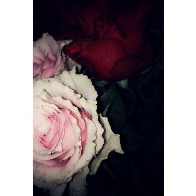 Noorchoudryy's tweet photo. Love photography 💖 http://t.co/FKM9RunjUs