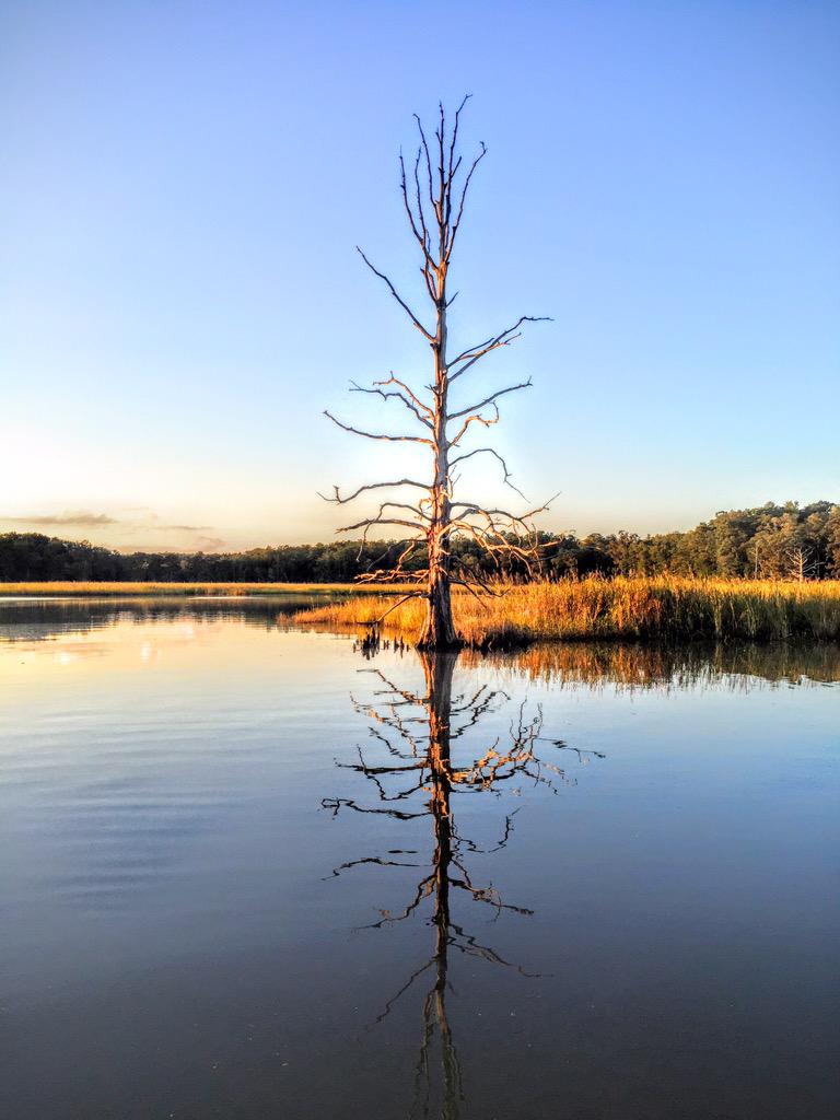 Night on Grays Creek....