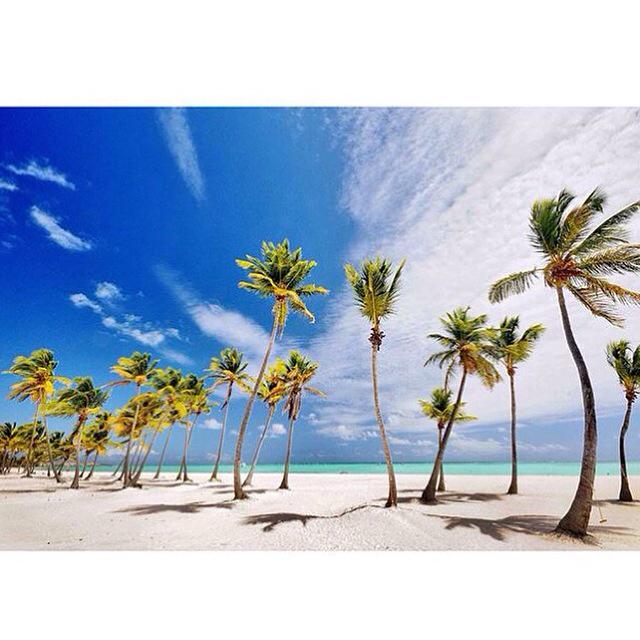 CaribbeanRd's tweet photo. 🌴 @ViveCapCana http://t.co/ppcjwP90DA