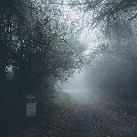 Faexhaiqal's tweet photo. Teka dekat mana?
Australia? Korea?

Inilah dekat Mossy Forest, Gunung Brinchang Cameron Highlands cantik  betulkan 😍 http://t.co/GOwJQmtuTv