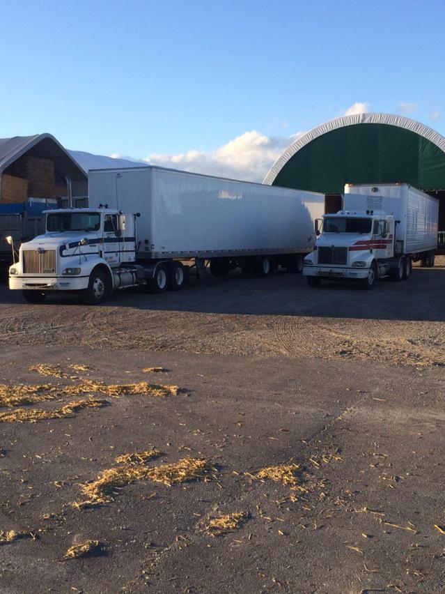 bayhorizon's tweet photo. 2 loads of straw ready for Monday delivery #straw15 http://t.co/Dq2CamRQ8N