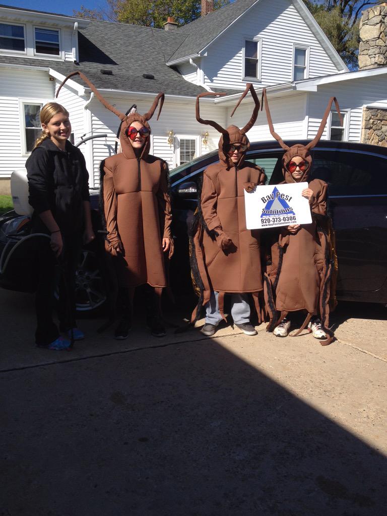 My lil cockroaches getting ready for a parade