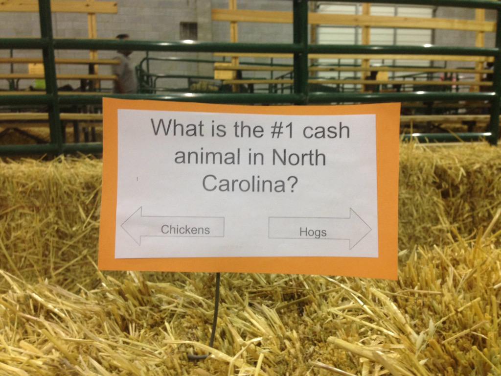 leecountyffa's tweet photo. Participants must answer questions about agriculture correctly in order to travel the right path! #SpeakAg #NCFFA http://t.co/WKZL8N37Gu