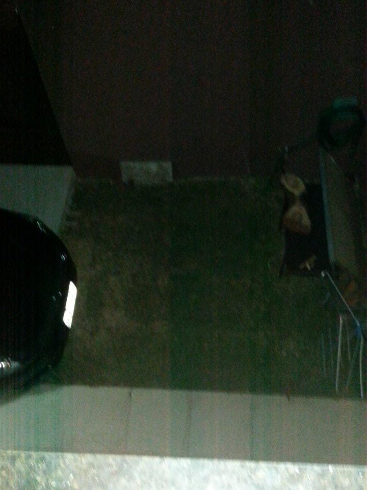 skyll3rslovato's tweet photo. seriamente pensando pula http://t.co/zKIIczI4bY