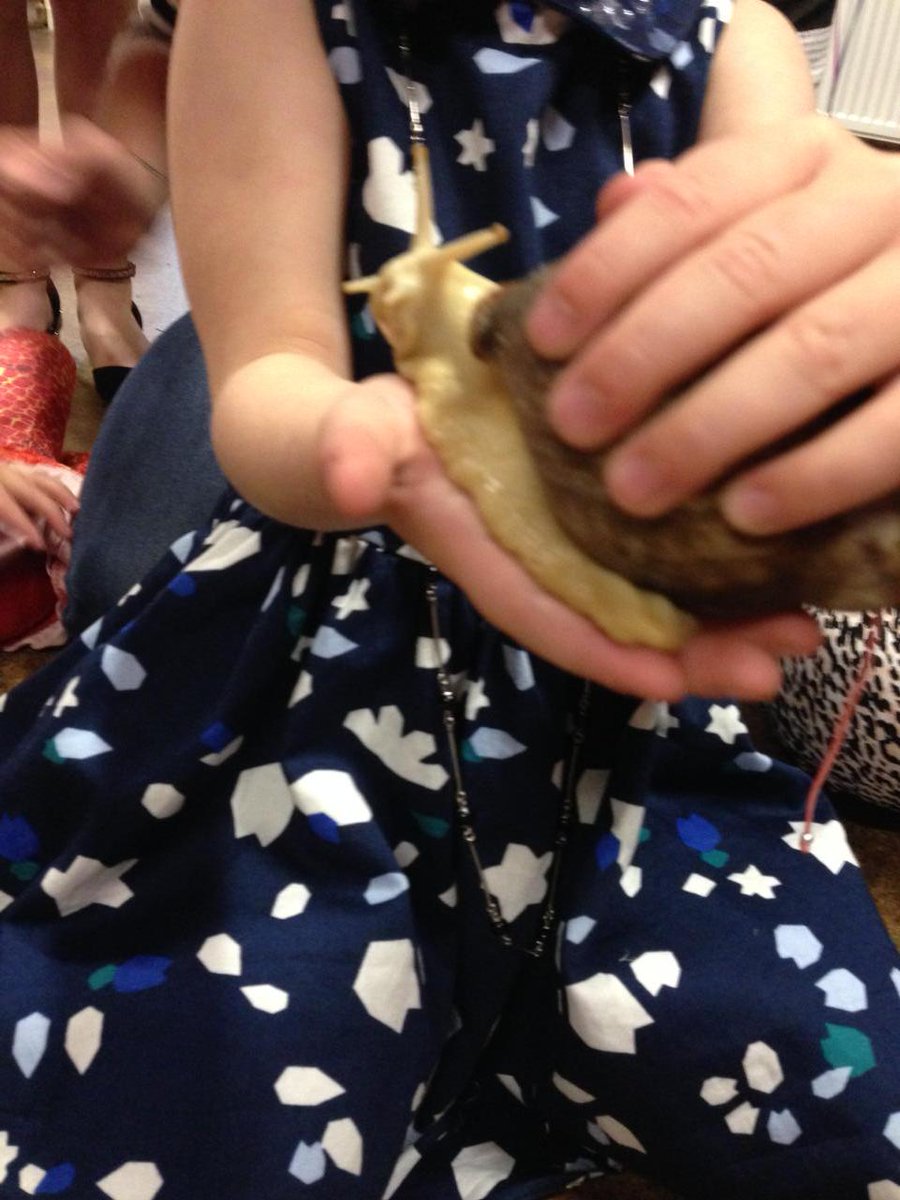 Mphillips19's tweet photo. 🐌🐌🐌🐌 http://t.co/mqgIbCFWpC