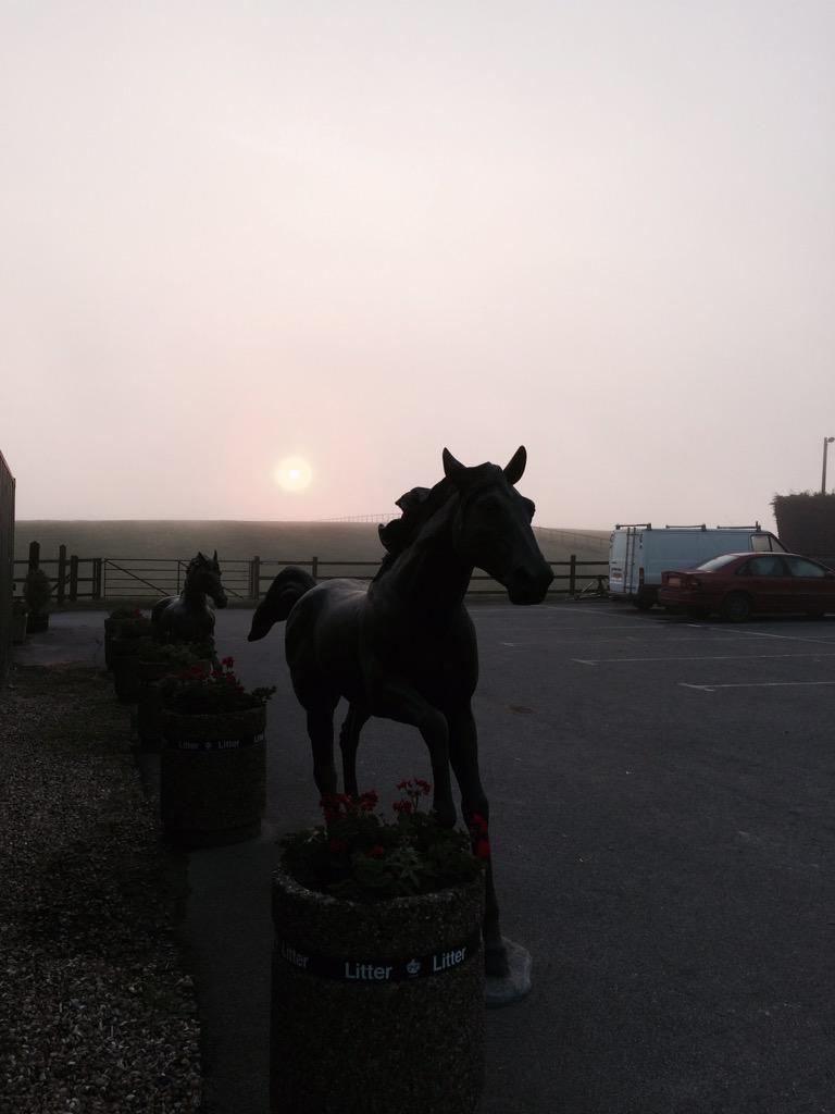 sarahj225's tweet photo. Beautiful morning - hopefully a good day's eventing ahead #MunsteadHT http://t.co/epxGEXTwQK