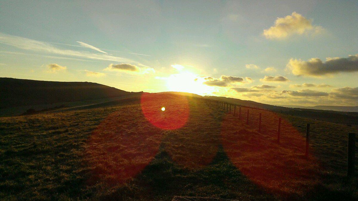 tstcdofe tweet picture