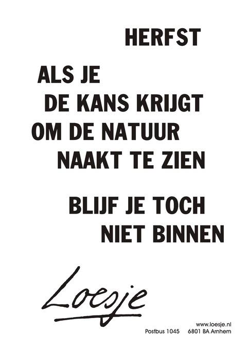 LoesjeNL's tweet photo. **Herfst
als je de kans krijgt om de natuur naakt te zien
blijf je toch niet binnen**
#Loesje http://t.co/tO05kqiyxj