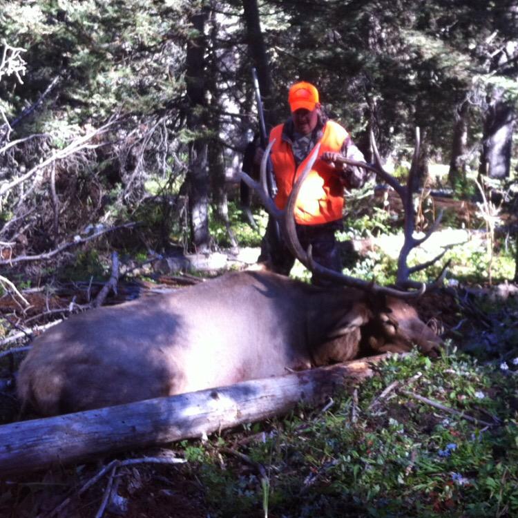 DRDH1977's tweet photo. Tyler's 6X6 Elk, harvested in Colorado http://t.co/CxyqCKfp1I
