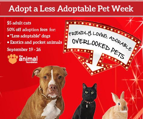 It's #AdoptaLessAdoptablePet Week! Be a hero and #adopt! Reduced fees through 9/26! bit.ly/TAFLAPW