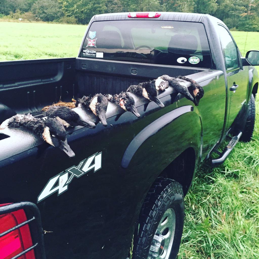 FinalFlight_NY's tweet photo. Been a tough earlier season but the cold front always gets them moving #BeHeard #BCGC @BeavrCreekCalls http://t.co/uGSwHVzAmr