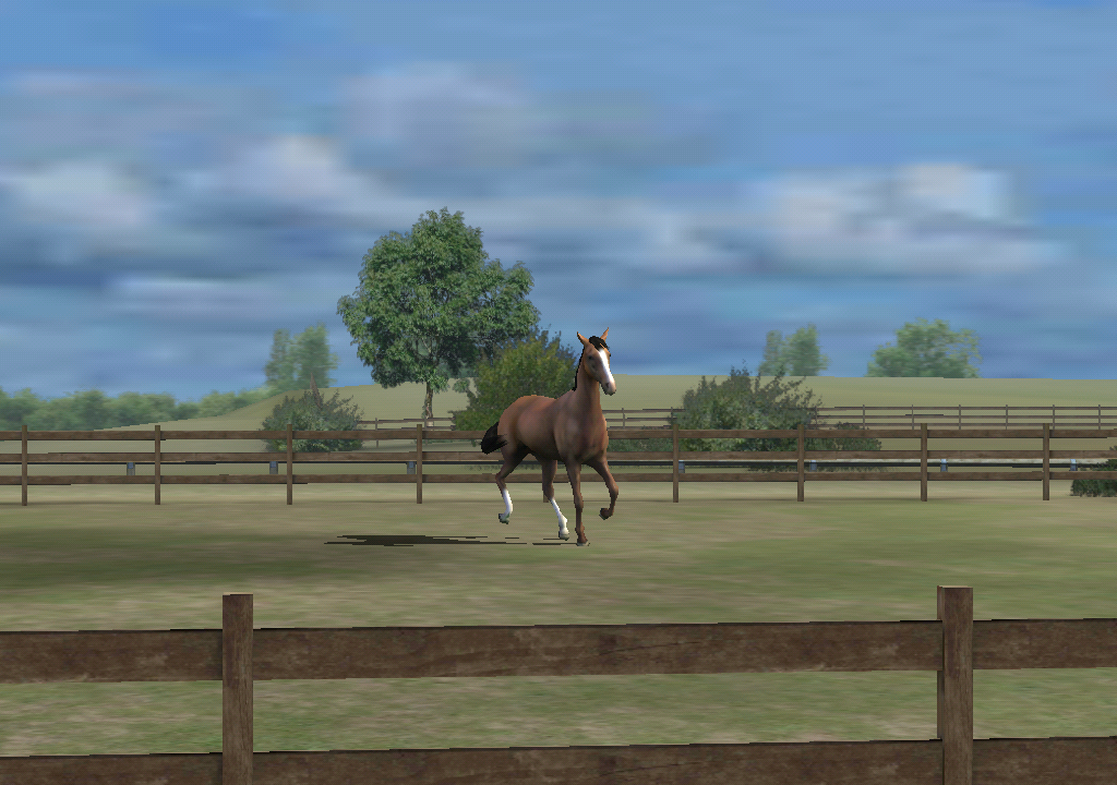 mountndew4ever's tweet photo. Check out my photo! Add me, AntsyWager744. #MyHorse http://t.co/JZC0uWikDz