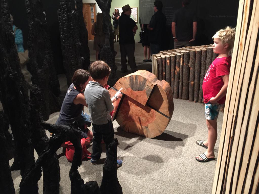 JimStLeger's tweet photo. More proof that kids love #art. These kids were taking in the #FiresOfChange exhibit at @FlagstaffArts. #SciFest http://t.co/Yy9FkIohjr